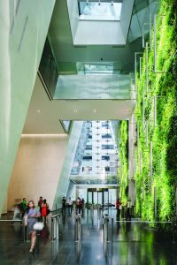 The living green wall