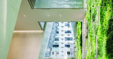 The living green wall